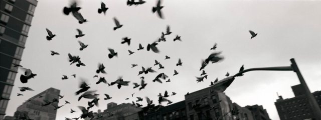 flight-space-New-York-1077-