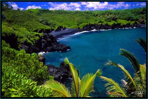 m-24-d-black-beach-foliage-