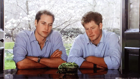 HWtumblr_lzxnirpcCO1romnewo1_500