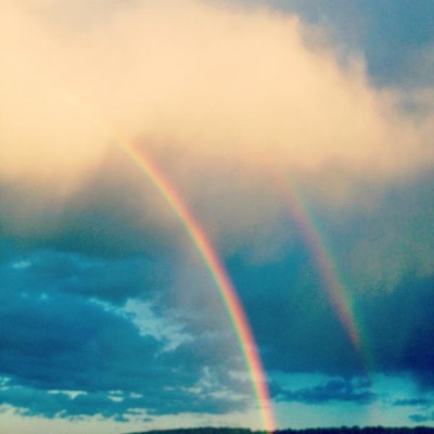 AnnTranDbleRainbow65af063bb6c5b0a1ca1c67399efcd4bc.600x400.nopad