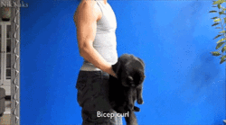 ...  or fallin' in love....