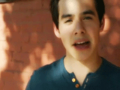 Is there a fly in the studio?