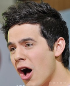 Crop5Nareetumblr_m2en98D8b81qbjx1wo1_500