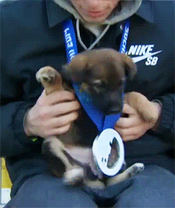 tumblr_n16g2lWYCJ1qbxc8qo2_r1_250