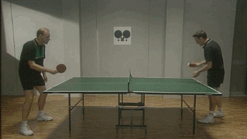 pingpong_l-249485
