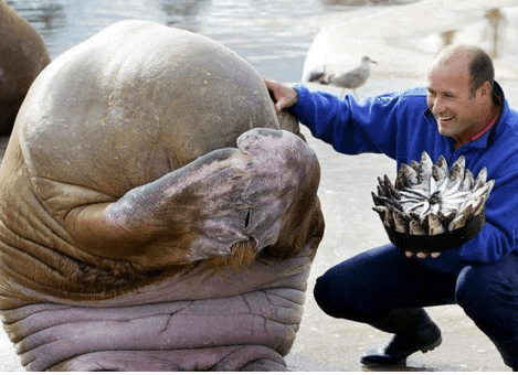 Screen shot 2014-08-22 at 9.31.58 PM