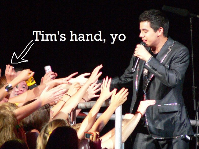 Editdavid-by-v-williams1