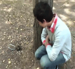 tumblr_mvvegtsbSF1qbjx1wo7_250