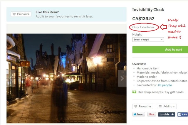 invisibility cloak.JPG