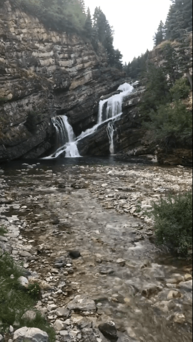 Screen Shot 2017-08-10 at 10.13.08 PM.png